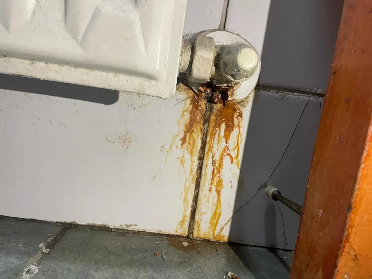 Servicio integral de construcción, remodelación y mantención